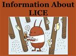 Information about Lice 